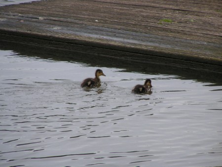 Bremen_2004-139