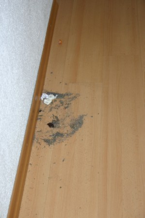 Hildesheim-Zimmer-2004-0012