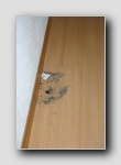 Durch einen Klick wird es groß